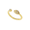 Anillo Floret