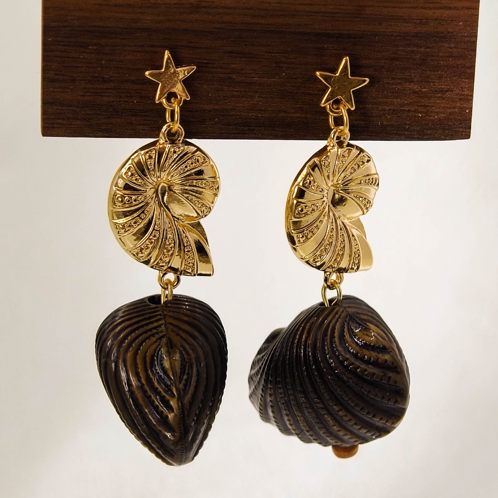 Aretes Coralina